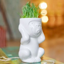 DF20161869 Экочеловеки. Горшок для растений eco игнорик