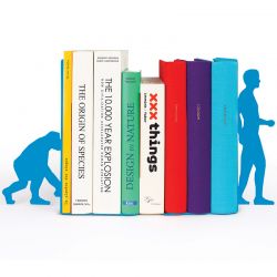 DF201611458 Doiy. Ограничитель для книг evolution голубой