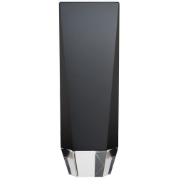 PS2012125 Награда Statum II, малая