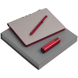 PS2102089334 Набор Flexpen Energy, серебристо-красный