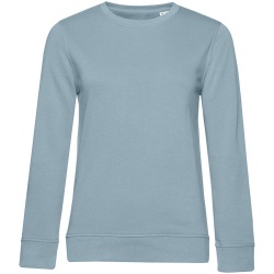 PS2102084884 BNC. Свитшот женский BNC Organic, серо-голубой