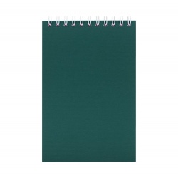 PS2102082051 Блокнот Nettuno Mini в линейку, зеленый