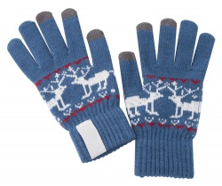 PS1511869 Сенсорные перчатки Raindeer, синие