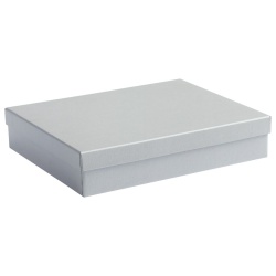 PS1701022981 сделано в России. Подарочная коробка Giftbox, серебристая