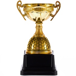 PS240826853 Кубок Meritus, большой, золотистый