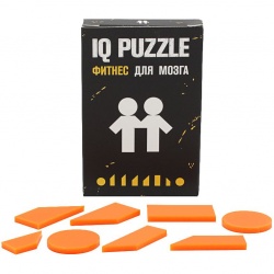 PS2102082616 IQ Puzzle. Головоломка IQ Puzzle, близнецы