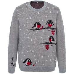 PS2102090475 teplo. Джемпер Birds and Berries