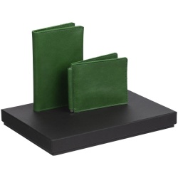 PS2102089523 Набор Apache Billfold, зеленый
