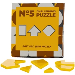 PS2102082608 IQ Puzzle. Головоломка Challenging Puzzle Acrylic, модель 5