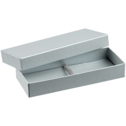 PS2102087771 Коробка Tackle, серебристая