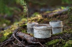 PS2012104 Свеча Birch Bark, малая