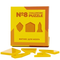 PS2102082610 IQ Puzzle. Головоломка Challenging Puzzle Acrylic, модель 8