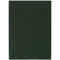 PS2408263135 Inspire. Ежедневник Flat, недатированный, зеленый, без ляссе