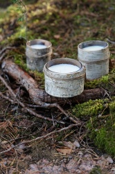 PS2012105 Свеча Birch Bark, большая