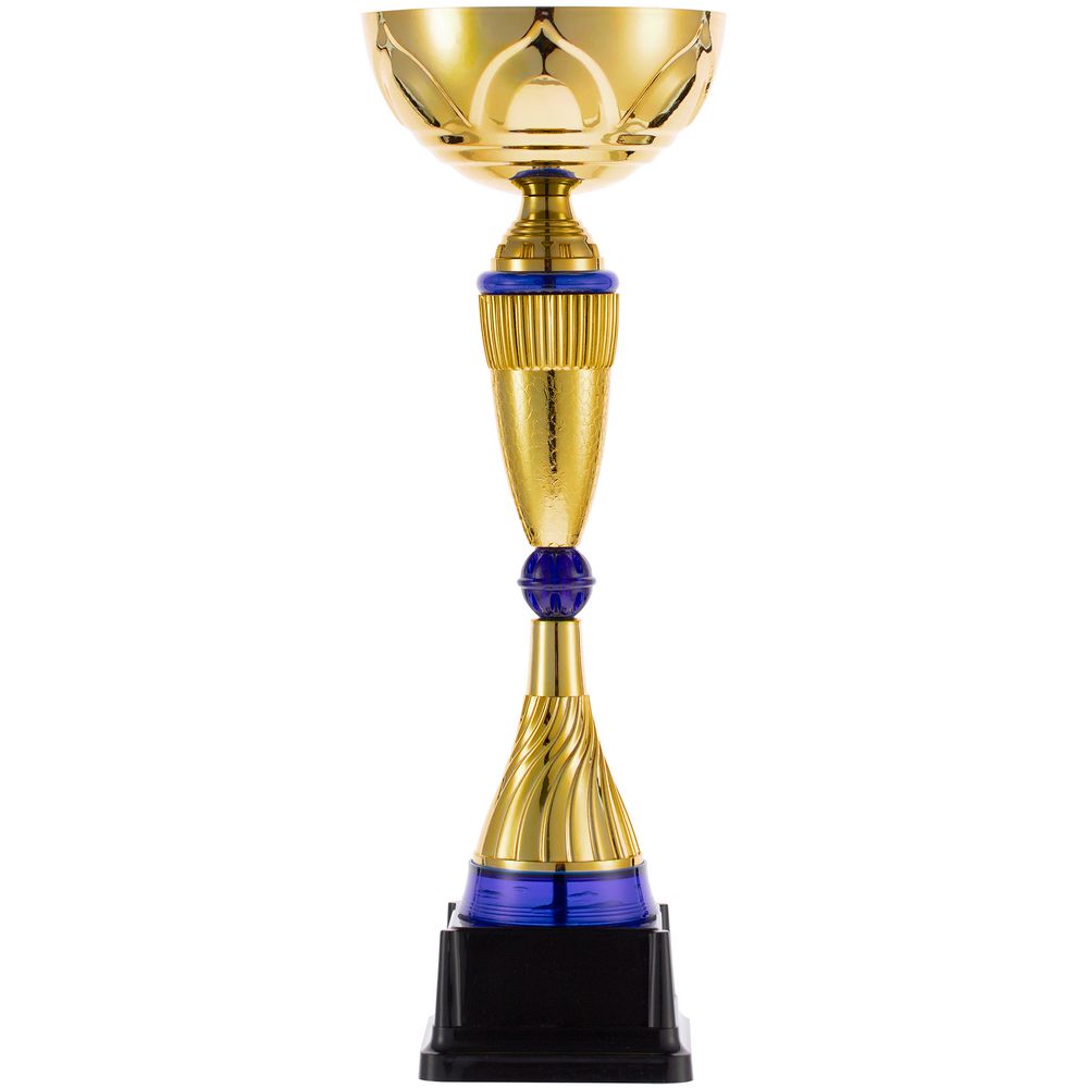 PS240826865 Кубок Awardee, большой, синий