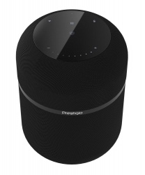 PS2102090921 Prestigio. Беспроводная мощная стереосистема Superior 111