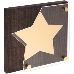 PS2005266 сделано в России. Награда Asteri Dark Gold