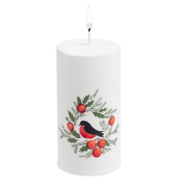 PS2102089770 Свеча Magic Forest Fire Bird