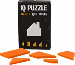 PS2011541 IQ Puzzle. Головоломка IQ Puzzle, домик