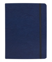 PS17D-BLU5 Адъютант. Блокнот Freenote, в клетку, синий