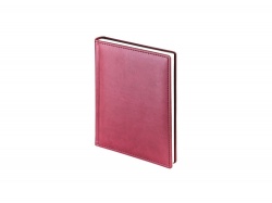OA2003022443 Альт. Ежедневник недатированный А6+ Velvet, бордовый