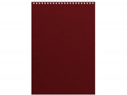 OA2003025482 Альт. Бизнес - блокнот Альт А4 (198 х 285 мм) Office 60 л., бордовый