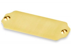 OA38AW-GLD8 Шильд золотистый