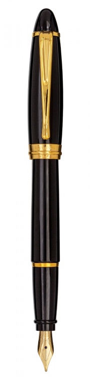 Перьевая ручка Aurora Ipsilon Resin black GT, перо М, в подарочной коробке
