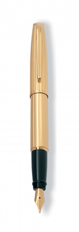 Перьевая ручка Aurora Style Metal GT, перо - F, в подарочной коробке