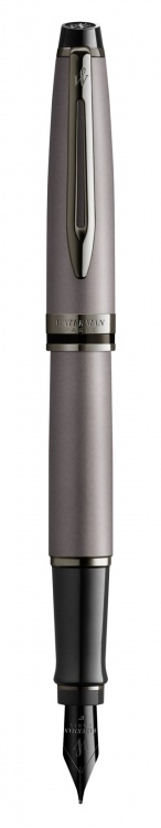Перьевая ручка WatermanExpert Silver F BLK в подарочной упаковке