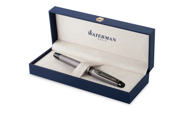 Перьевая ручка WatermanExpert Silver F BLK в подарочной упаковке