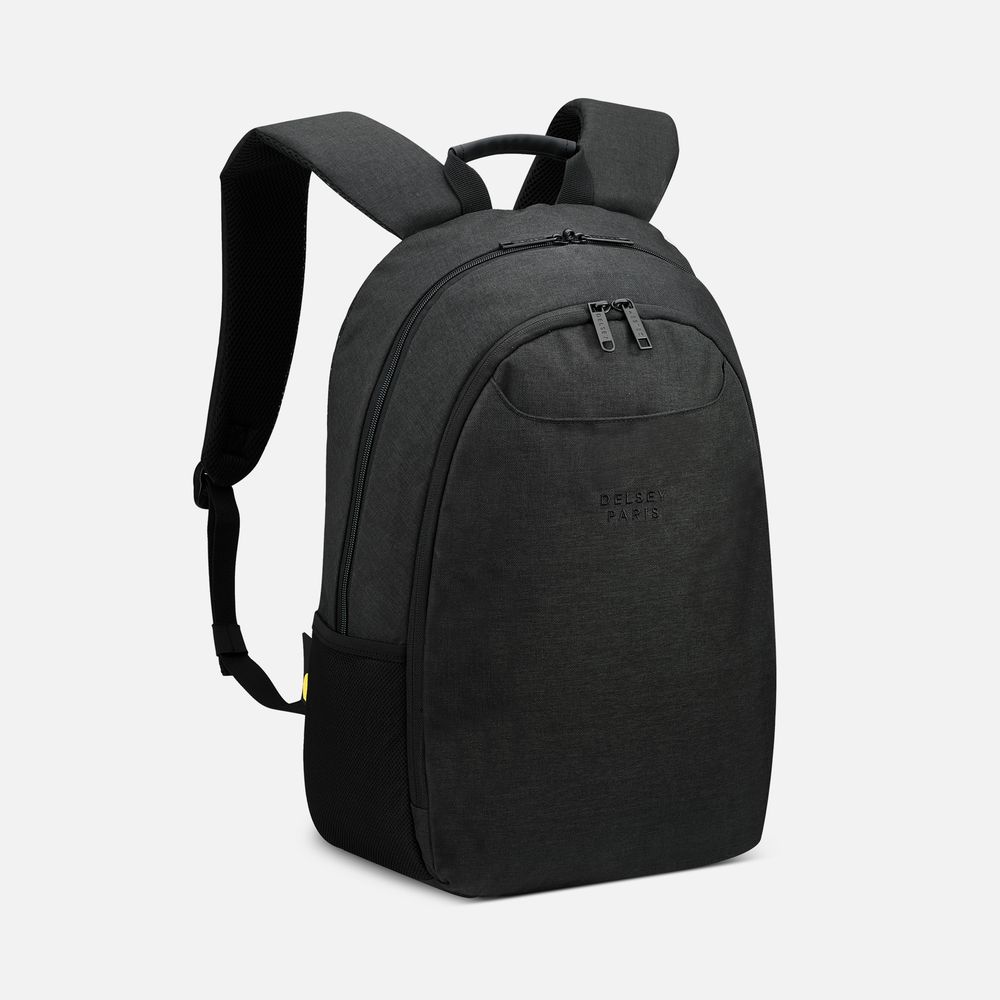 PS1710255355 Delsey. Рюкзак для ноутбука Esplanade 15, черный
