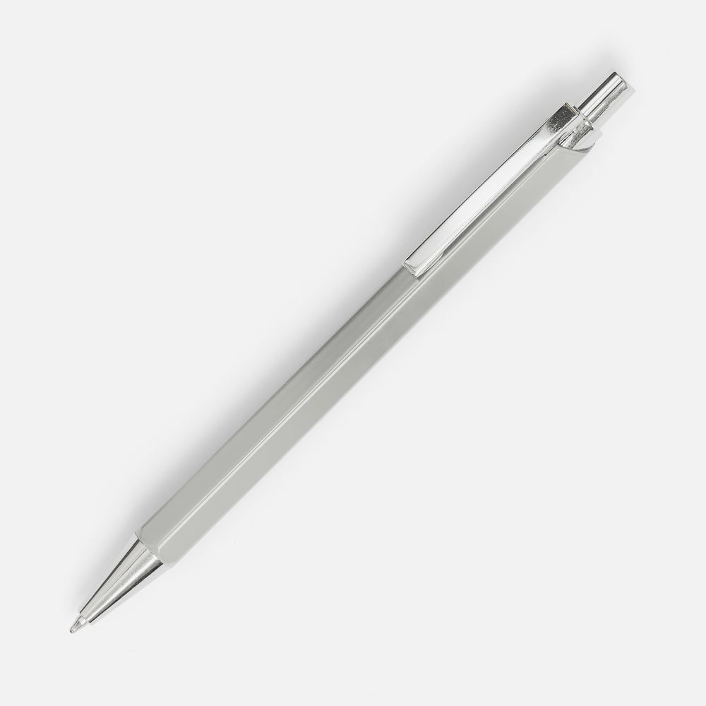 PS1710252197 Ручка шариковая Alumno, серая