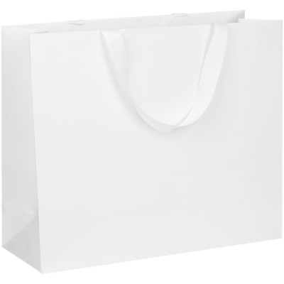 PS1710251316 Пакет бумажный Manilla L, белый