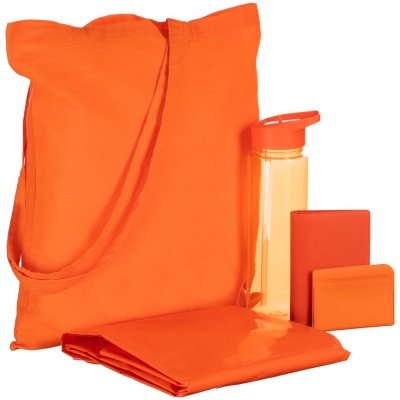 PS171025229 Набор Alfresco, оранжевый