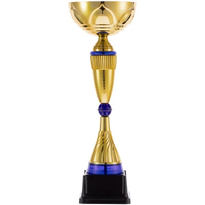 PS240826863 Кубок Awardee, малый, синий