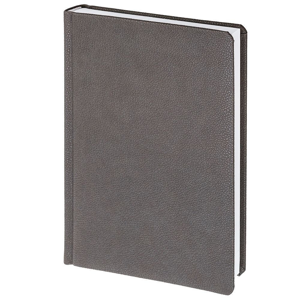 PS171025142 Адъютант. Ежедневник Sagrin, недатированный, темно-серый