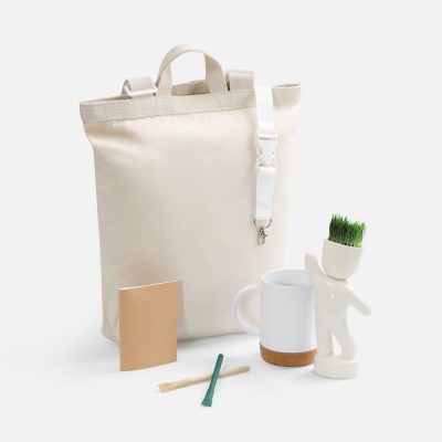 PS1710254801 Набор Eco Sapiens Buddy