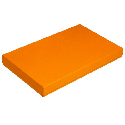 PS2005732 Коробка Horizon, оранжевая