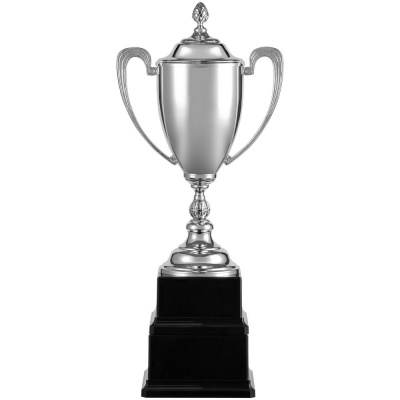 PS1710251980 Кубок Grandee, серебристый