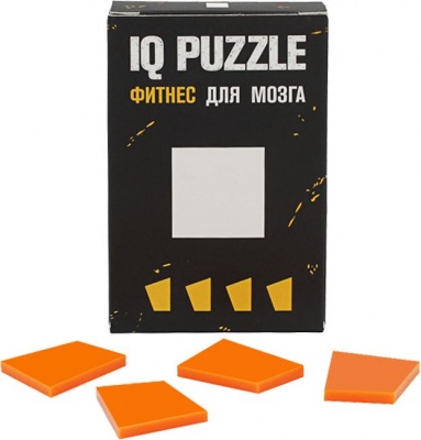 PS2102082619 IQ Puzzle. Головоломка IQ Puzzle Figures, квадрат