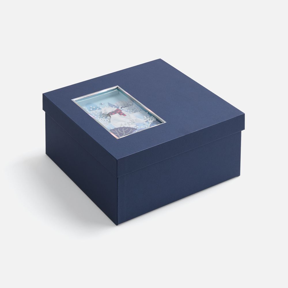 PS1710251410 Коробка The Blue Bear, M