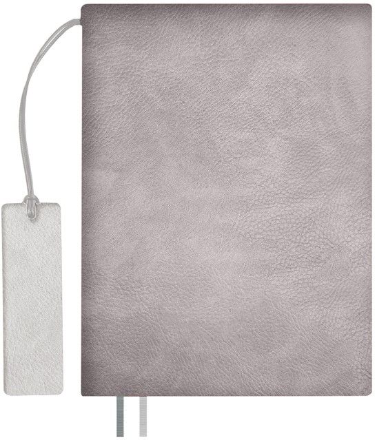 PS1710254643 Escalada. Ежедневник Avila, недатированный, серый