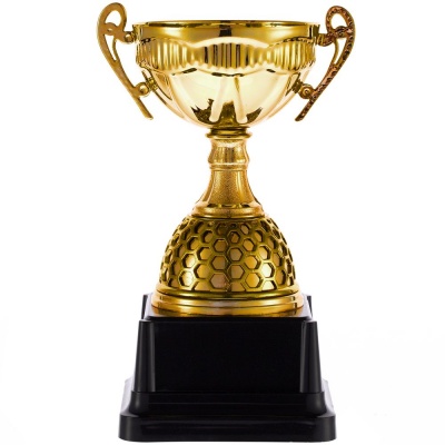 PS240826853 Кубок Meritus, большой, золотистый