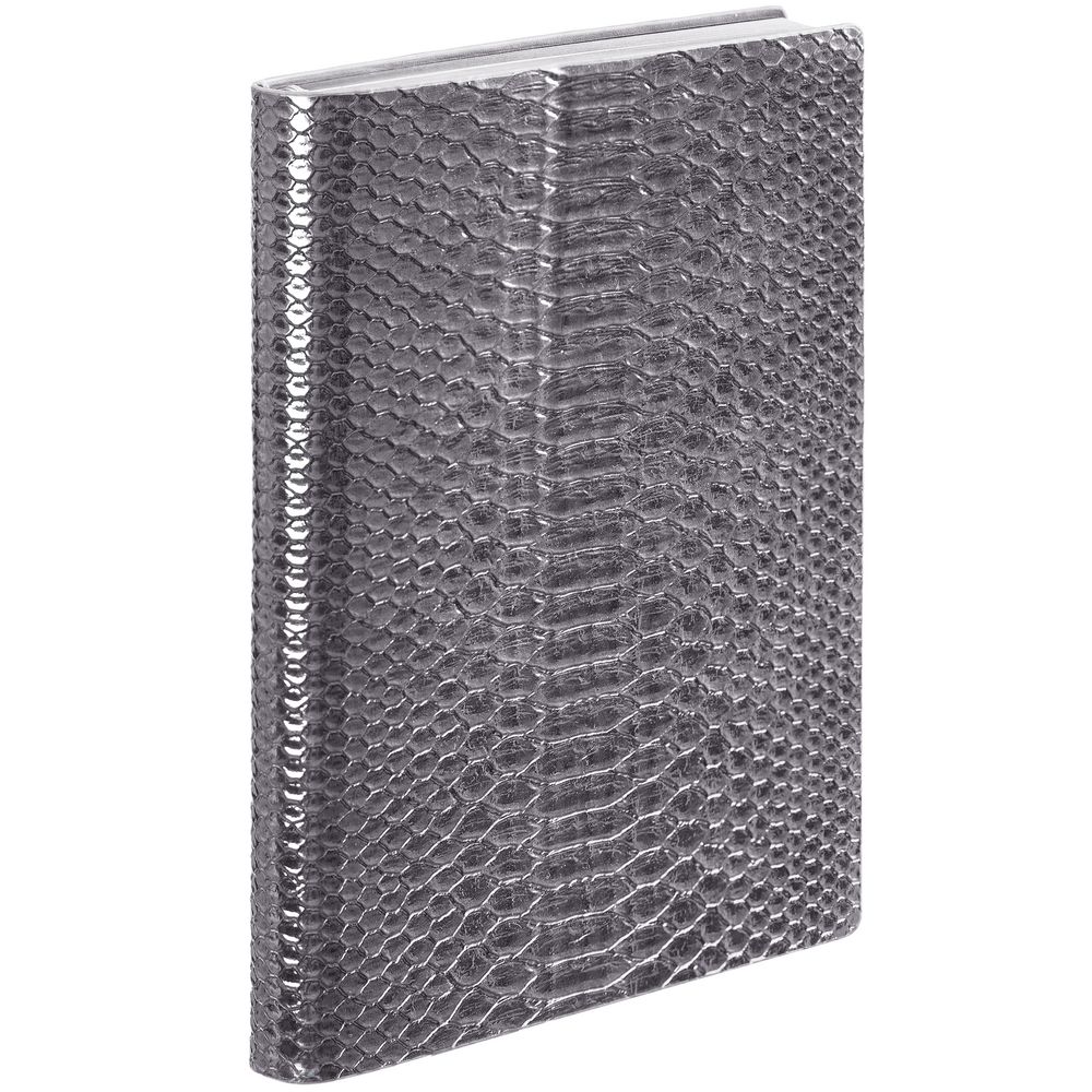 PS1710251268 Escalada. Ежедневник Anaconda, недатированный, серебристый
