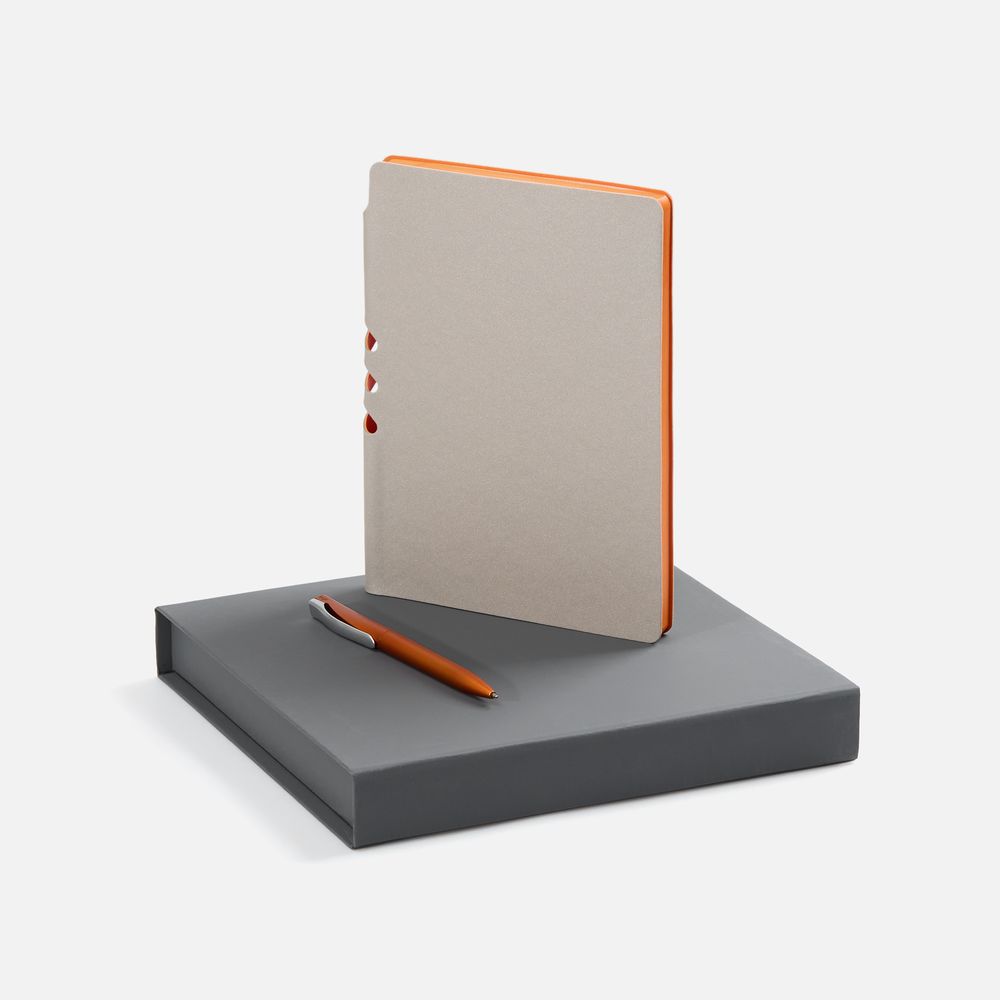 PS1710255003 Набор Flexpen Grey, оранжевый