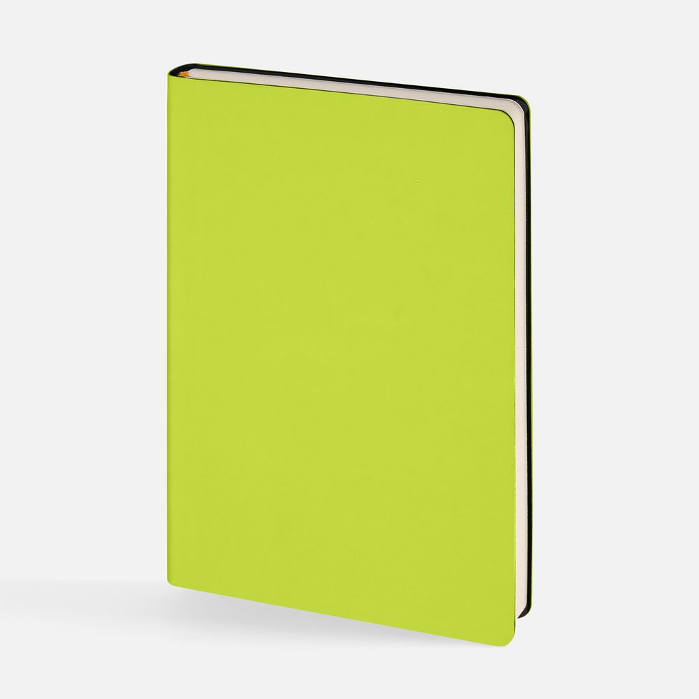 PS1710252129 Inspire. Ежедневник Flex Shall New, недатированный, светло-зеленый