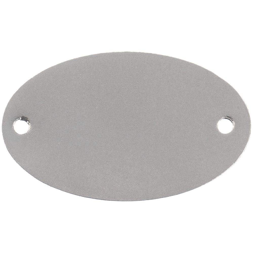 PS240823572 Шильдик металлический Alfa Oval, серебристый