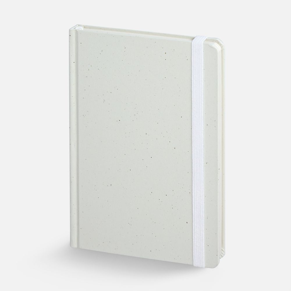 PS1710252963 Блокнот Lactonica, белый