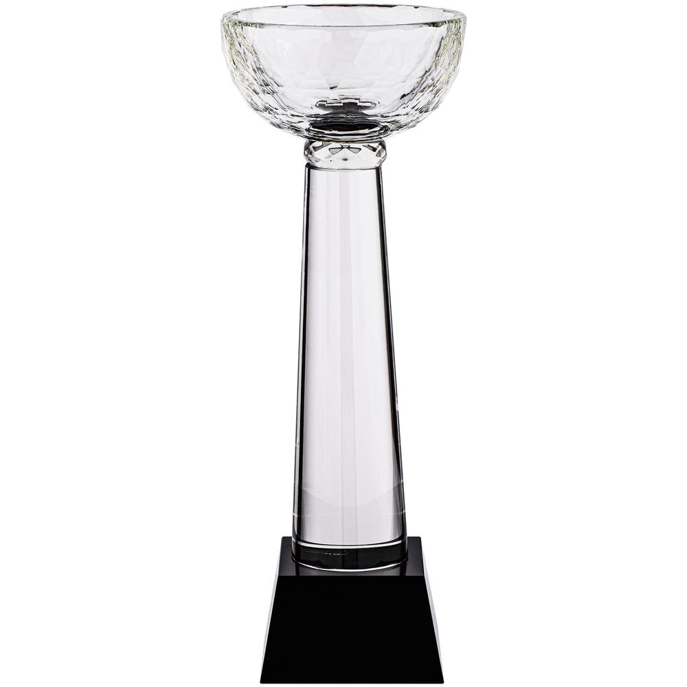 PS2408234050 Кубок Cupture, большой